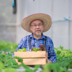 Agropecuária Grama Roxa Ltda