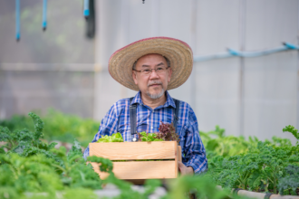 Agropecuária Grama Roxa Ltda