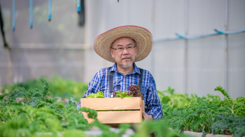 Agropecuária Grama Roxa Ltda