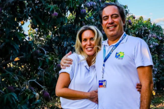 Pedro Duarte Guimarães