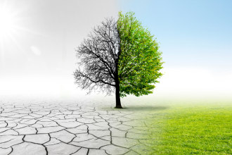 Lawrence Aseba Tipo explica como as mudanças climáticas podem influenciar diretamente sua saúde física e mental.