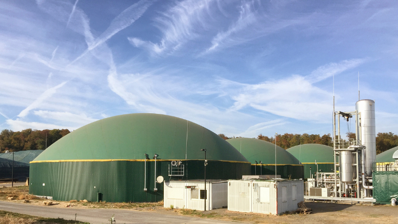 O futuro do campo é verde: Fabio Jose Gentil Pereira Rosa evidencia a importância da energia renovável na agricultura sustentável.