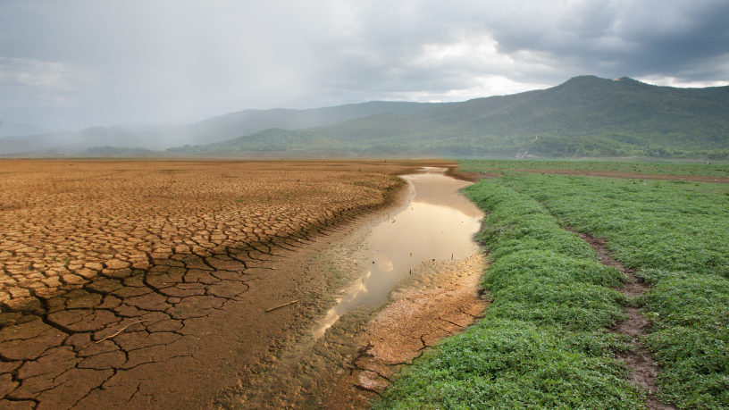 Sustentabilidade em foco — Joel Alves destaca a importância da adaptação das práticas de pesca diante das mudanças climáticas.