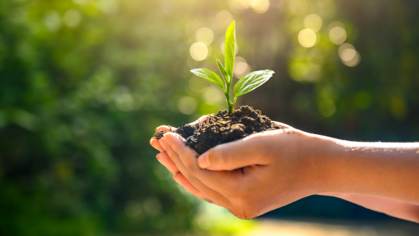 Quando a sociedade entende seu papel na preservação ambiental, cada ação positiva gera impacto duradouro, mensagem constantemente reforçada pela Versa Engenharia Ambiental Ltda.