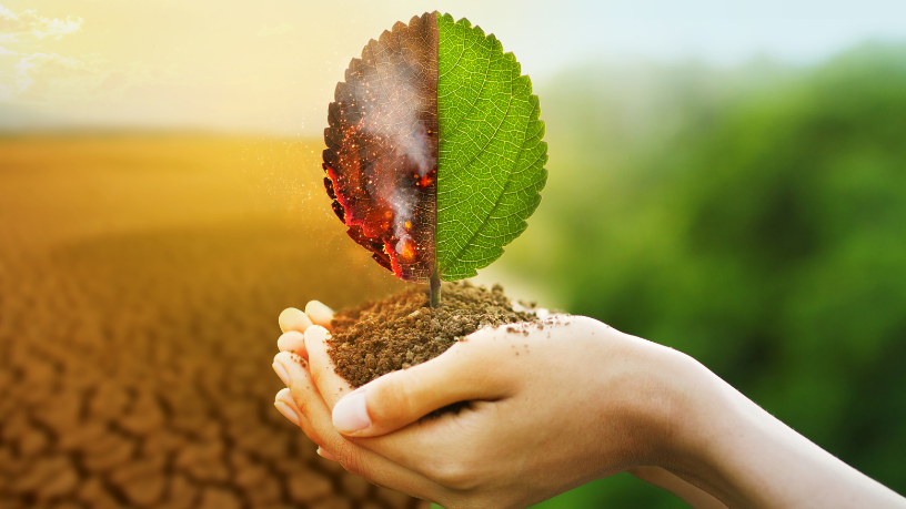 Para Gustavo Morceli, introduzir ciência do clima nos primeiros anos é essencial para formar gerações mais preparadas e ambientalmente responsáveis.