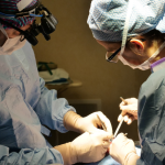 Dr. Haeckel Cabral explica os objetivos técnicos da rinoplastia e o impacto estético da ponta nasal.