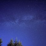 Meteoro riscando o céu estrelado acima da silhueta de uma floresta.