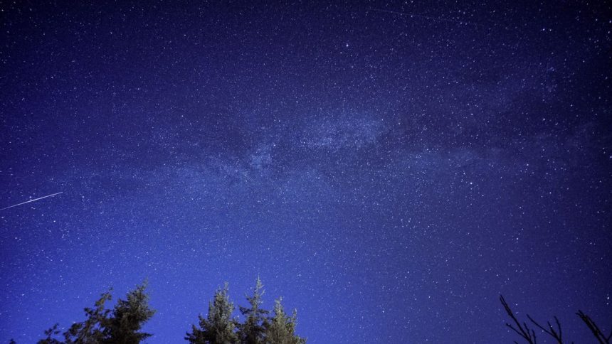 Meteoro riscando o céu estrelado acima da silhueta de uma floresta.